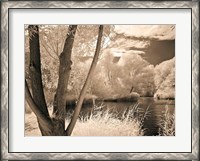 Framed Lakefront View I