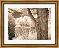 Framed Lakefront View II