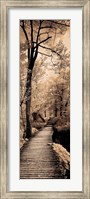 Framed Quiet Stroll I