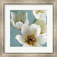 Framed 'Lily Parfait II' border=