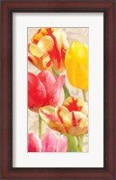 Framed Glowing Tulips I