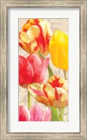 Framed Glowing Tulips I