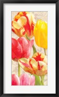 Framed Glowing Tulips I