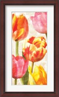 Framed Glowing Tulips II