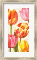 Framed Glowing Tulips II