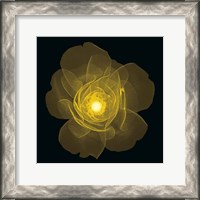 Framed Rose