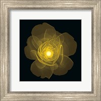 Framed Rose