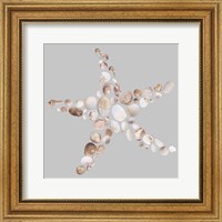 Framed Starfish
