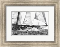 Framed Free Sailing