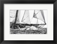 Framed Free Sailing