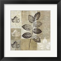 Essence of Nature I Framed Print