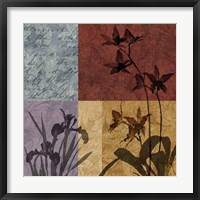 Floral Refrain II Framed Print