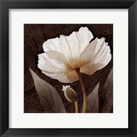 Framed Paisley Poppy I