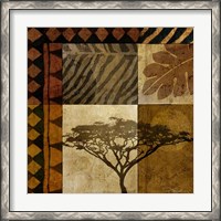 Framed Acacia Sunrise I