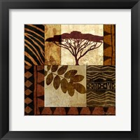 Framed Acacia Sunrise II