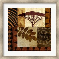 Framed Acacia Sunrise II