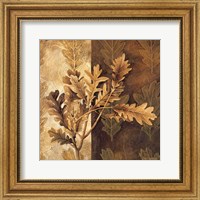 Framed Leaf Patterns I