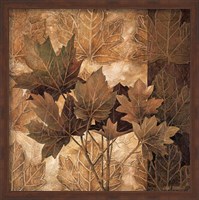 Framed Leaf Patterns II