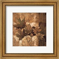 Framed Leaf Patterns II