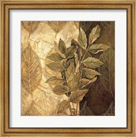 Framed Leaf Patterns IV