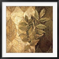 Framed Leaf Patterns IV
