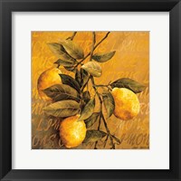 Framed Lemon Branch