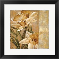 Framed Champagne Daffodils I