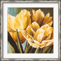 Framed Floral Radiance II