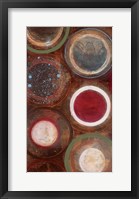 Nature's Spheres II Framed Print