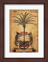 Framed Sunset Palm
