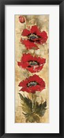 Framed Strand of Poppies I