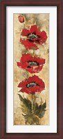 Framed Strand of Poppies I