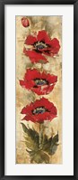 Framed Strand of Poppies I