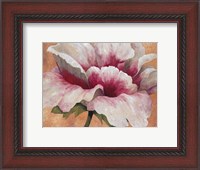 Framed Pink Begonia