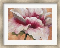 Framed Pink Begonia
