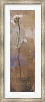 Framed Flowers Of June Series II