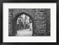 Framed Bicycle of Riquewihr