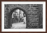 Framed Bicycle of Riquewihr