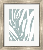 Framed Seagrass I