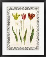 Framed Spring Blooms I