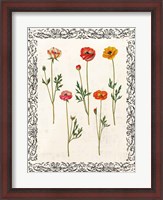 Framed Spring Blooms II