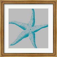 Framed Sea Stars II