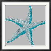 Framed Sea Stars II