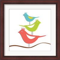 Framed Songbirds III