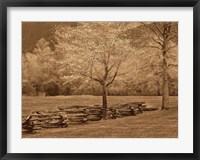 Framed Smokies Fence