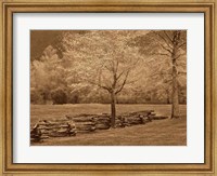 Framed Smokies Fence