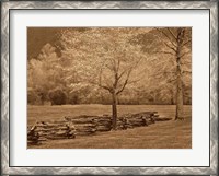 Framed Smokies Fence