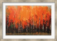 Framed Birch Shoreline