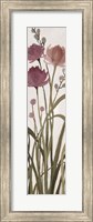 Framed Floral