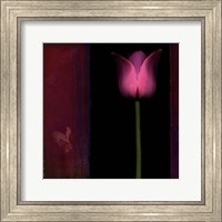 Framed Red Tulip I